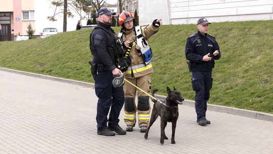 Drony nad Elblągiem, syreny i akcja służb [WIDEO]