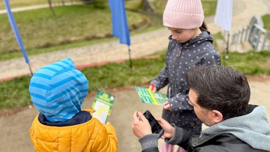 Ponad 300 osób w Parku Dolinka