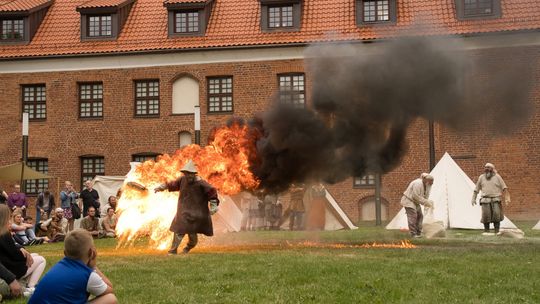 Ogień z bursztynu, Wikingowie i darmowe rejsy