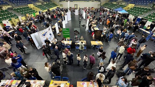 Za nami Elbląskie Targi Pracy Za nami Elbląskie Targi Pracy
