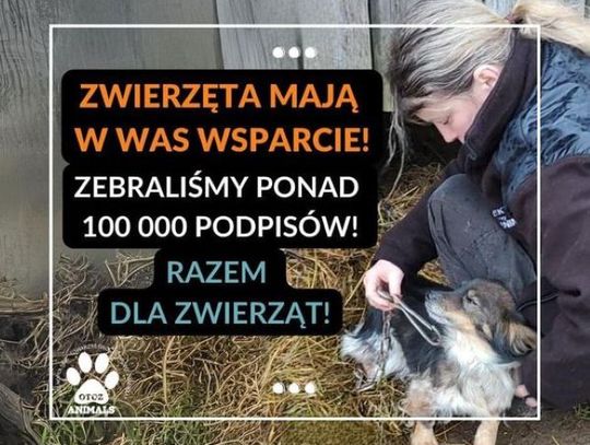 100 tys. podpisów za końcem łańcuchów i pseudohodowli!