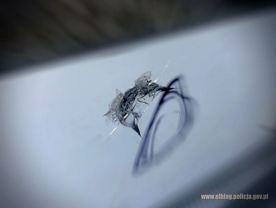 14-latek w Elblągu strzelał w puszki, a trafiał w szyby 14-latek w Elblągu strzelał w puszki, a trafiał w szyby