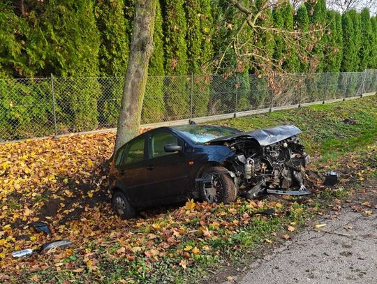 18-latek uderzył w drzewo. Prawko ma od miesiąca