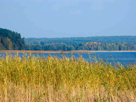 2 mln zł na wiosenne wyjazdy i nawet 500 zł dopłaty do noclegu