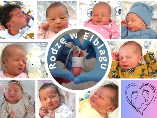 216 powodów do radości tego lata