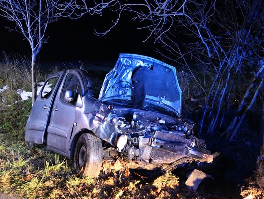 24-latek rozbił się na drzewie
