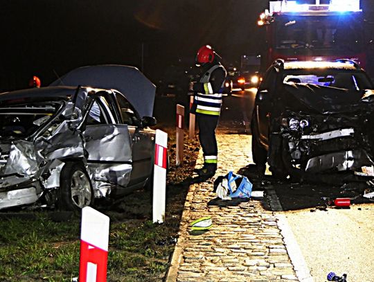 2500 zł grzywny dla 25-latka za zdarzenie na trasie Elbląg-Malbork