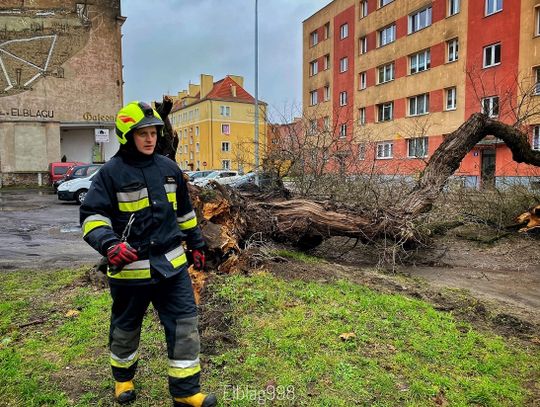 3 stopień ostrzeżenia. Strażacy z Elbląga apelują o ostrożność!