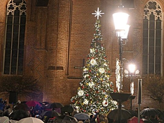 6 grudnia na Starym Mieście rozbłyśnie choinka [PROGRAM]