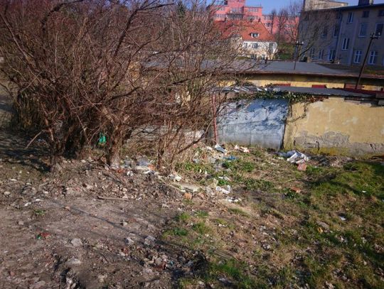 77 miejsc w Elblągu. Tu wkrótce wrócą strażnicy! [FOTO]