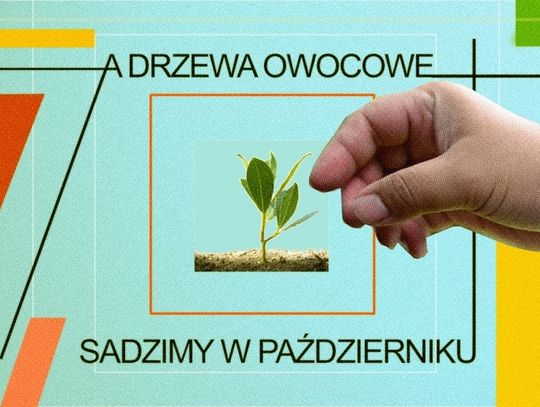 A drzewa sadzimy jesienią! – zielona akcja w Galerii EL