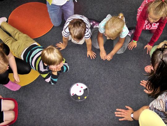 Akcja Stop Pedofilii odbędzie się w Elblągu