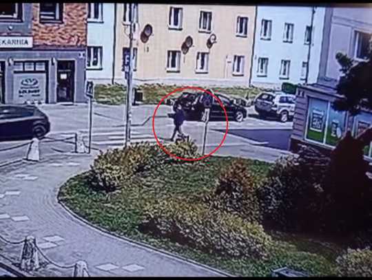 Akcja zatrzymania w Nowym Dworze Gdańskim [FILM]