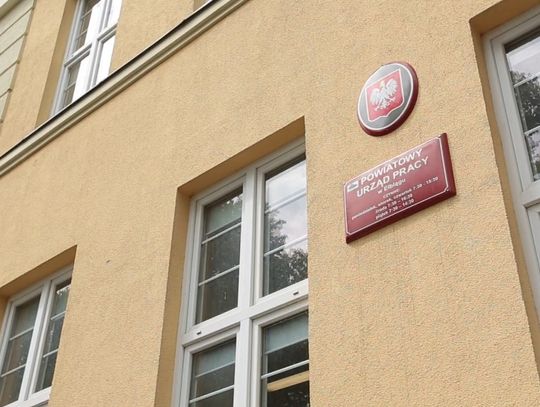 Aktualne oferty pracy [04.07.2024]