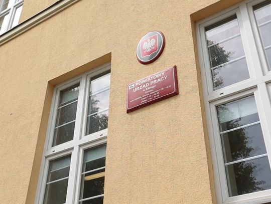 Aktualne oferty pracy [18.07.2024]