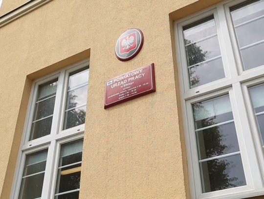 Aktualne oferty pracy [20.06.2024]