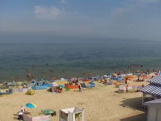 Apel Burmistrza Krynicy Morskiej i Sanepidu