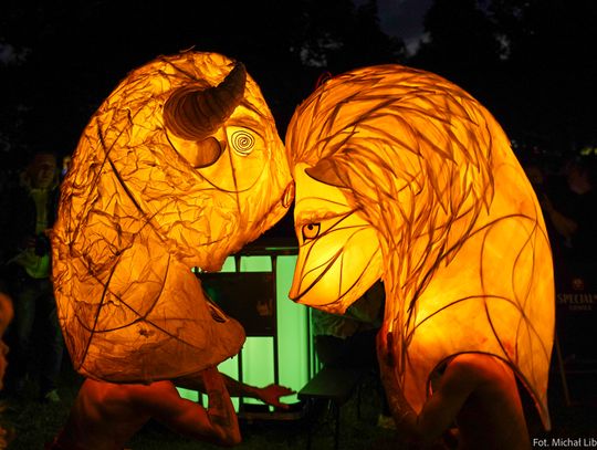 Aura lampionów w Bażantarni (galeria)