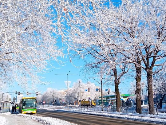 Autobusy i tramwaje mogą nie dojechać