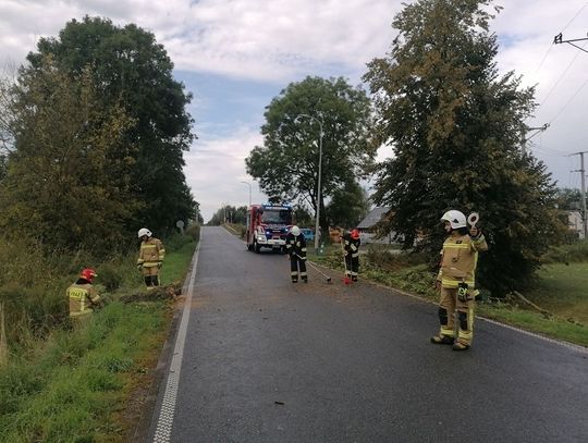 Awarie prądu po wichurach