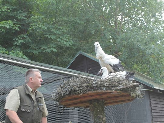 Azyl pod dobrym adresem