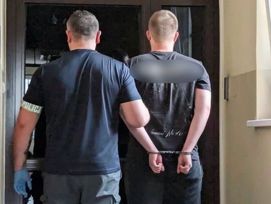 Bójka pod sceną podczas Dni Nowego Dworu Gdańskiego