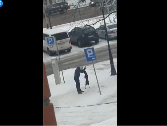 Instruktor szkolenia psów o nagraniu: "widać brak komunikacji"