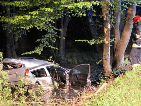 Był pijany i nie przyznaje się do winy, trafił do aresztu