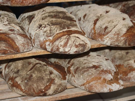 Cena pieczywa poszybuje. Do 30 złotych za bochenek?