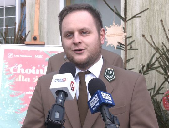 Choinki w Elblągu dla krwiodawców