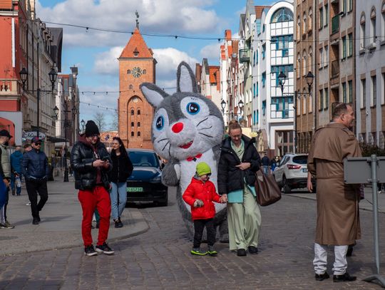 Co się będzie działo w niedzielę w Elblągu?