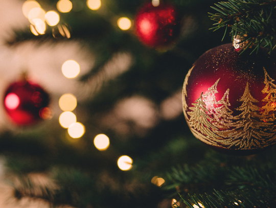 Co zrobić, by choinka świeciła się, a nie paliła?