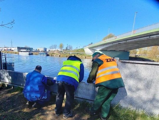 Ćwiczenia Formacji Obrony Cywilnej