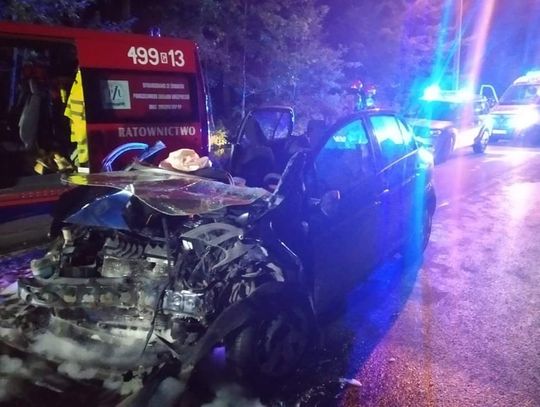 Czołowe zderzenie pojazdów w Stegnie. 7 kobiet rannych