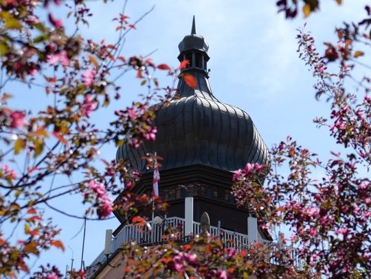Czy będzie zakaz wjazdu na elbląską starówkę?