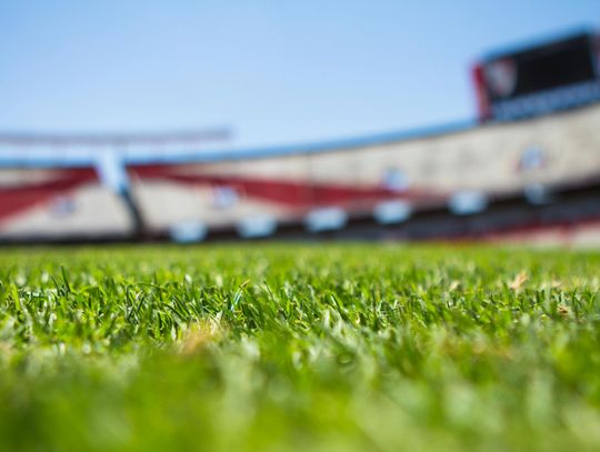 Czy obstawianie live daje przewagę? Zalety i pułapki zakładów na żywo