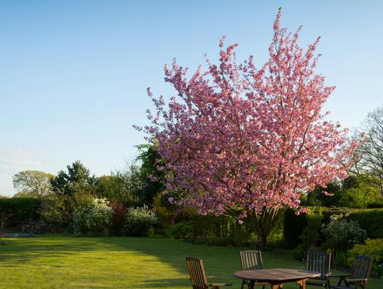 Czy piwnica ogrodowa to praktyczne rozwiązanie dla Twojej posesji?
