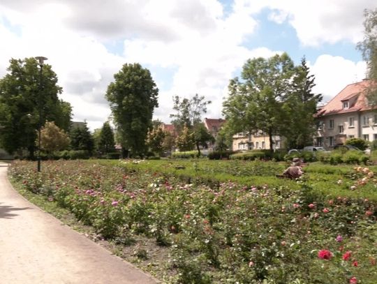 Czy w parku Kajki można wyprowadzać psy? [WIDEO]