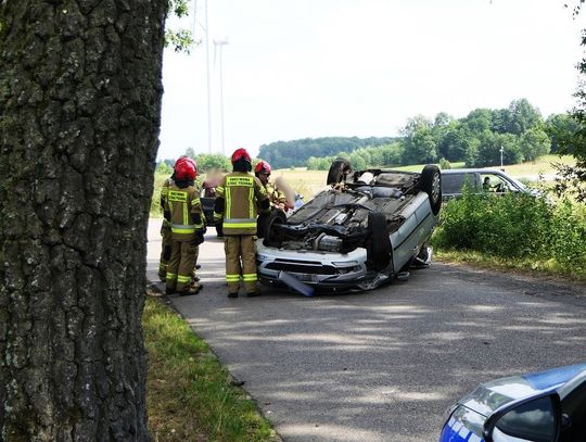 Dachowanie w Majewie Dachowanie w Majewie