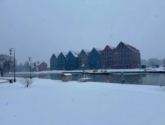 Dla kogo praca po Nowym Roku? Najnowsze oferty