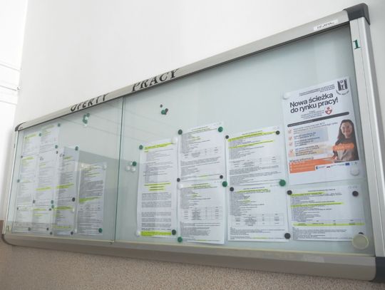 Dla kogo praca w Elblągu? Są najnowsze oferty