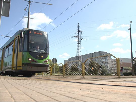 Dodatkowe bezpłatne kursy na Dni Elbląga