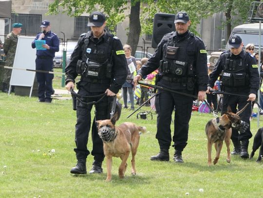 Dożywotnia opieka nad zwierzętami - będą zmiany w przepisach Dożywotnia opieka nad zwierzętami - będą zmiany w przepisach