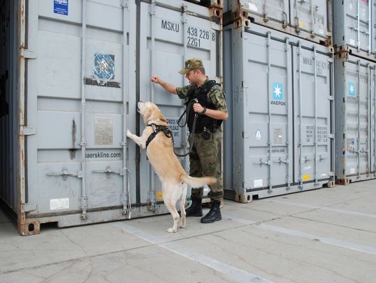 Dwie firmy w Elblągu skontrolowane przez strażników granicznych. Firmy zatrudniały nielegalnie Ukraińców
