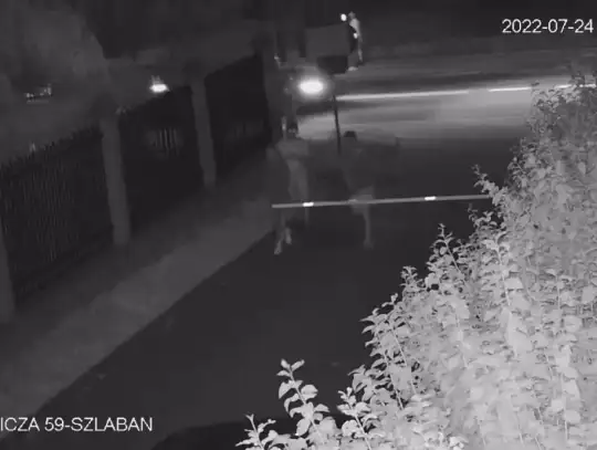 Dwóch na szlaban... Elbląska policja szuka "bohaterów monitoringu" [WIDEO]