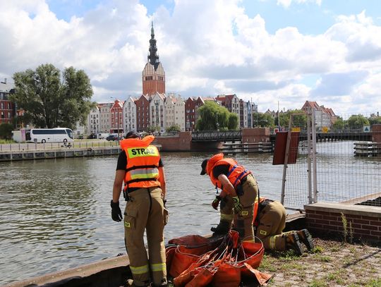 Działania Grupy Ratownictwa Chemiczno - Ekologicznego na Rzece Elbląg