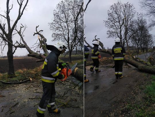 Dziś powieje! Synoptycy wydali ostrzeżenie dla powiatu elbląskiego