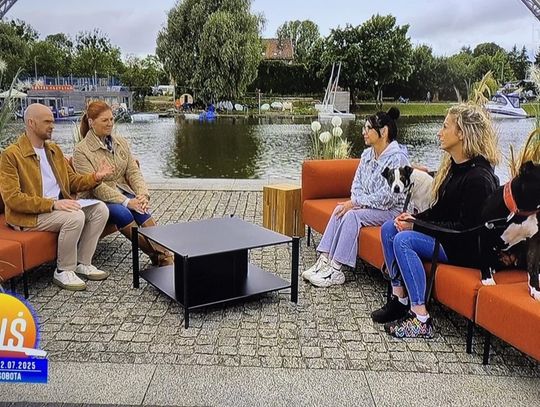 Elbląg na pierwszym planie