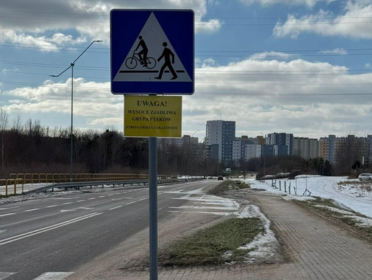 Elbląg w strefie zagrożenia ptasią grypą. Powiatowy Lekarz Weterynarii rozszerza obszar zakażenia