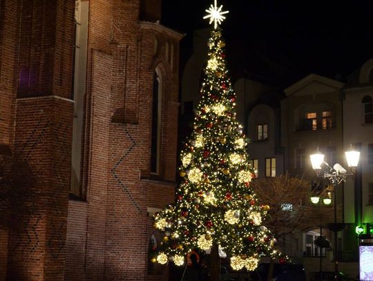 Elbląg w świątecznej odsłonie